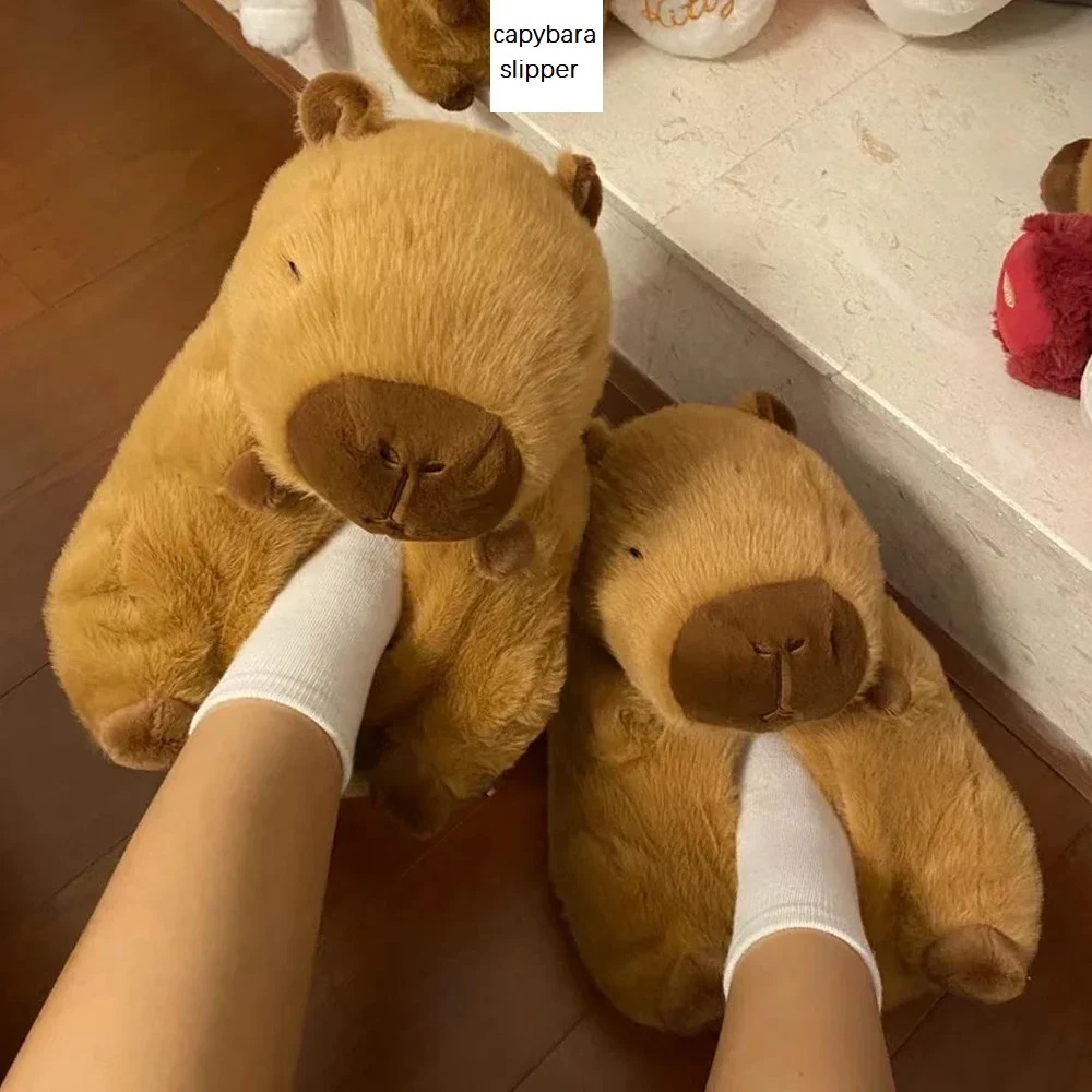 Novelty capybara slippers unis - Winter Clothing Material review and price