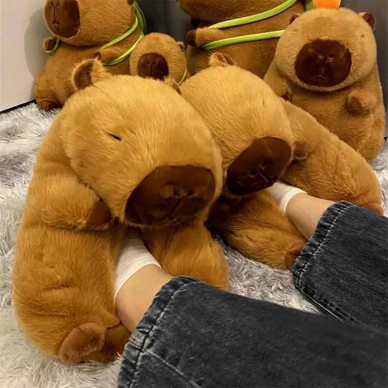 Novelty capybara slippers unis - Winter Clothing Material review and price