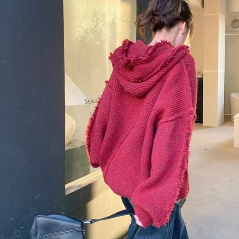 Autumn and Winter Thick Hoodie - Winter Clothing Essentials For Women review and price