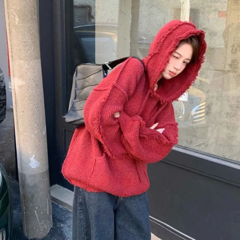 Autumn and Winter Thick Hoodie - Winter Clothing Essentials For Women review and price